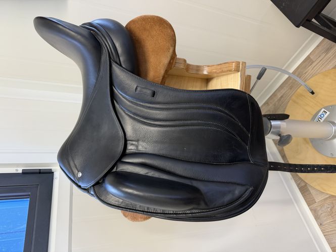 Hovedbilde BNL Dressursal Lets DanceBi-NateLine® brukt 17