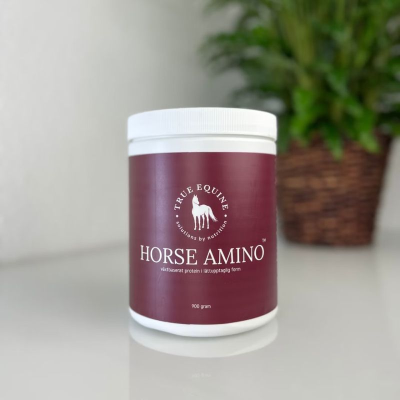 Horse Amino proteintilskudd