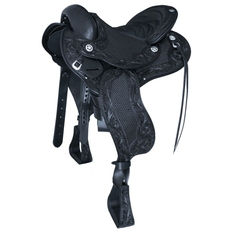 WE Western trail Devin