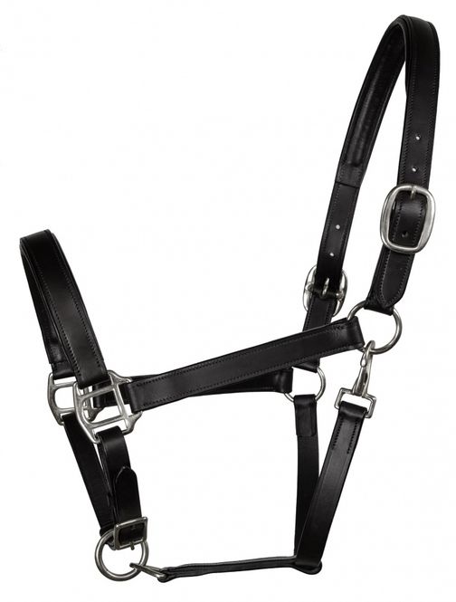 Hovedbilde Lærgrime Heimer